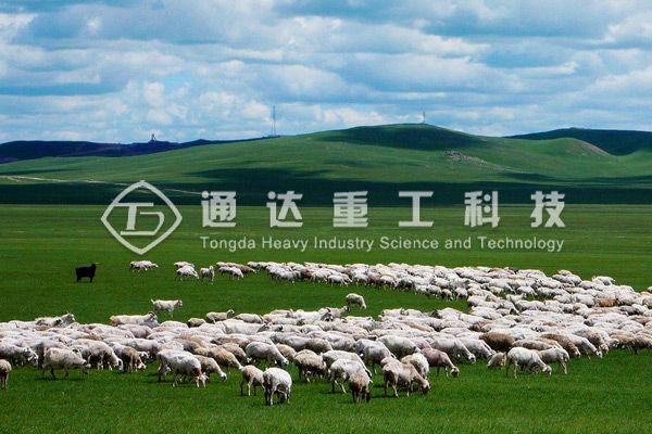 年產(chǎn)1萬噸羊糞有機肥生產(chǎn)線配置清單，需要投資多少錢